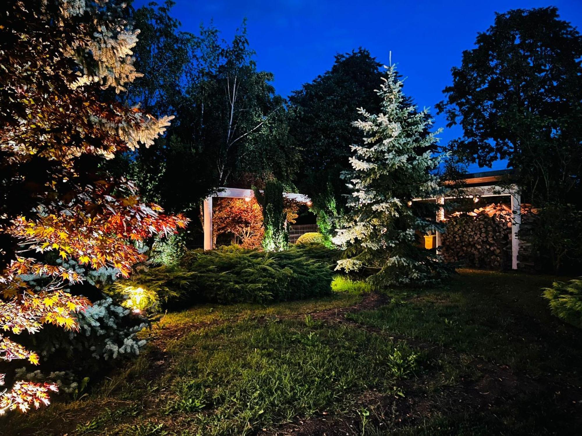 Вілла Evie'S Tree House Dragomirna Екстер'єр фото
